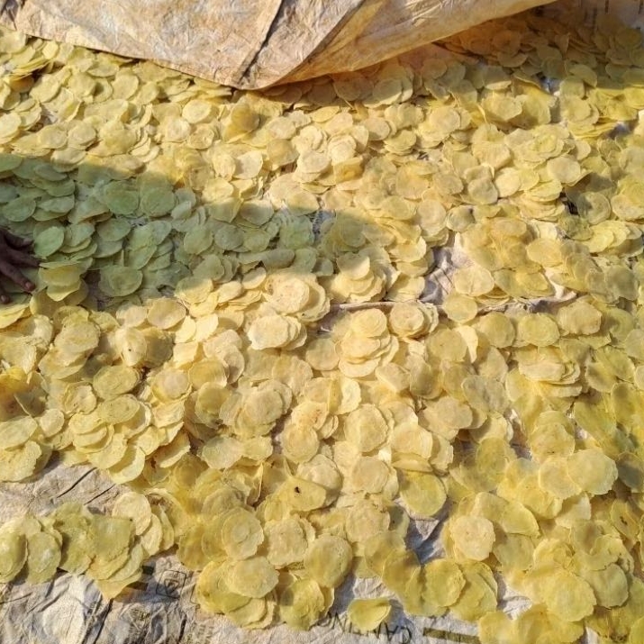 

Nycyta Home 1Kg Emping Melinjo Mentah Ukuran Lb (Biji 3-4) Asli Limpung