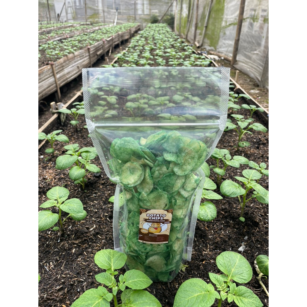 

Keripik kentang Rasa Rumput Laut isi 200g Super crispy bikin nagih 100% dari kentang press dan pilihan