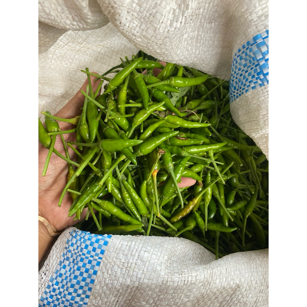 

cabe ijo rawit isi 2kg