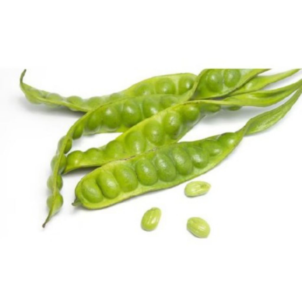 

PETE KULIT PERLONJOR / PETE PERPAPAN