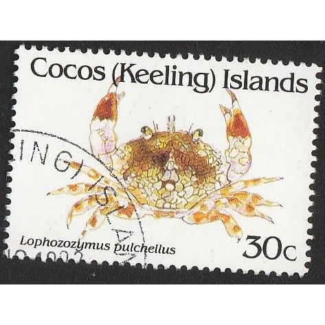 

A 11538 SATU BUAH PRANGKO COCOS KEELING ISLANDS NOMINAL 30C TEMA SATWA KEPITING POHOZUZUMUS PULCHELLUS DENGAN KONDISI SUDAH ADA CAP
