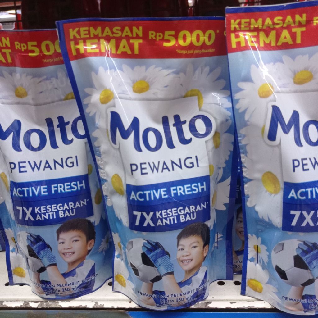 MOLTO Pewangi Pakaian Pouch 250ml // Molto 5000