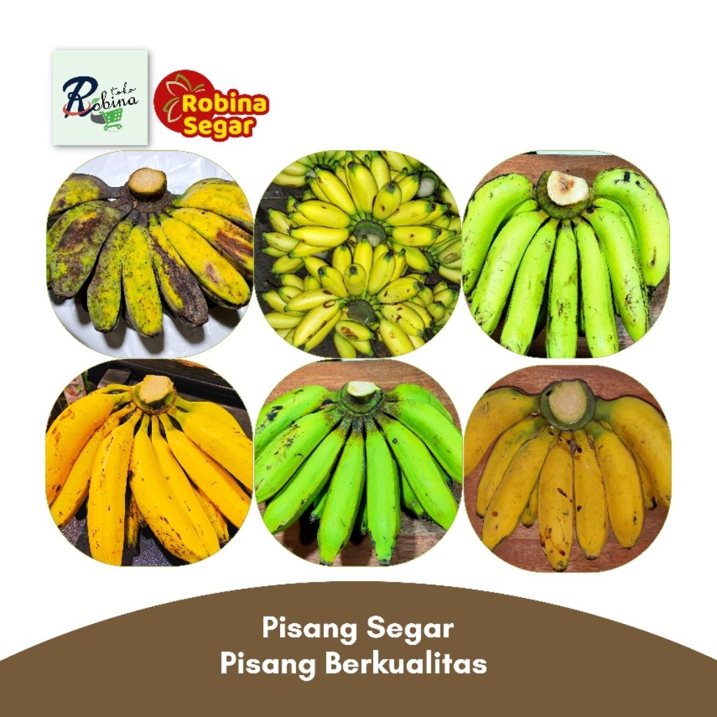 

Bandung Aneka Pisang Segar Berkualitas 1 Kg