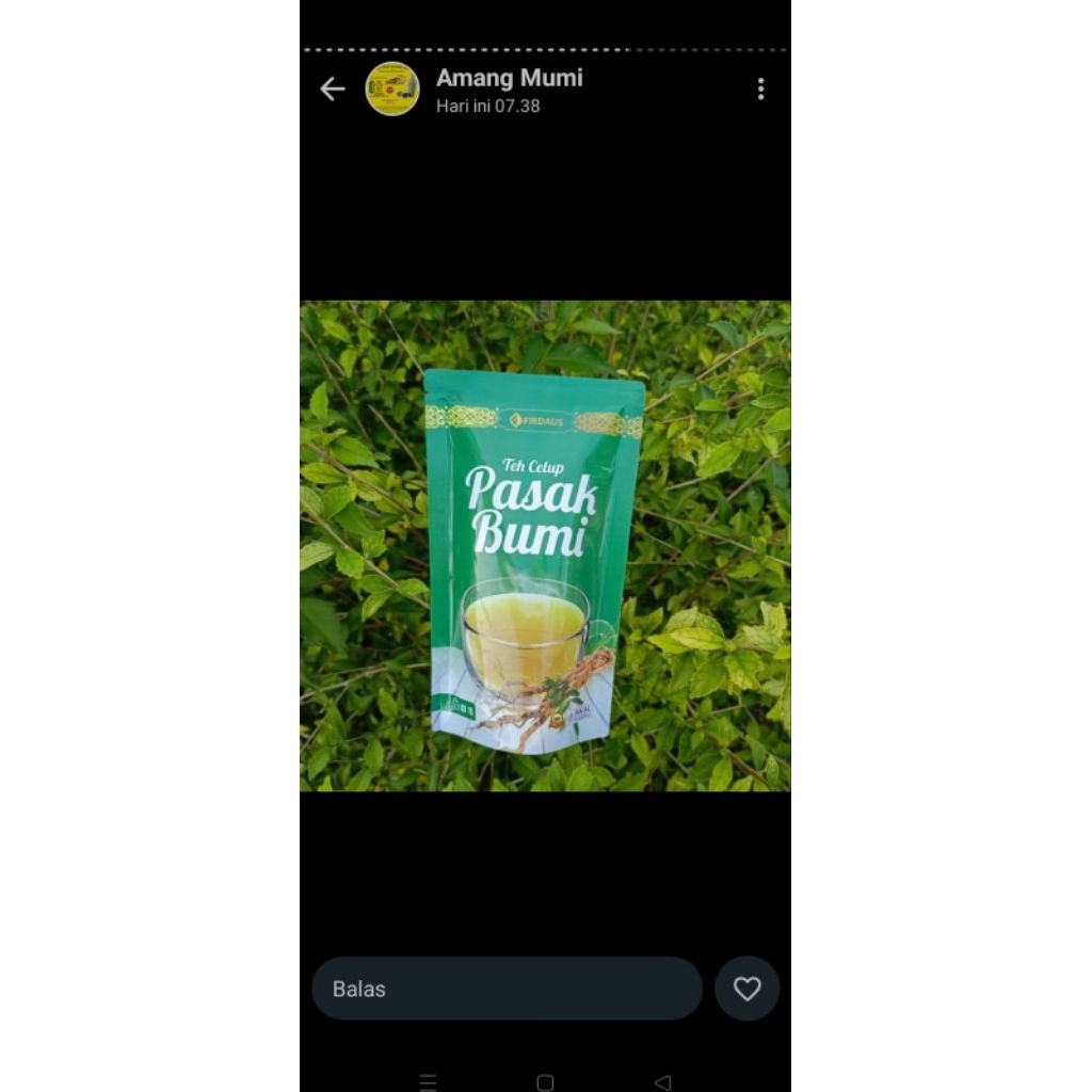

teh pasak asli Kalimantan