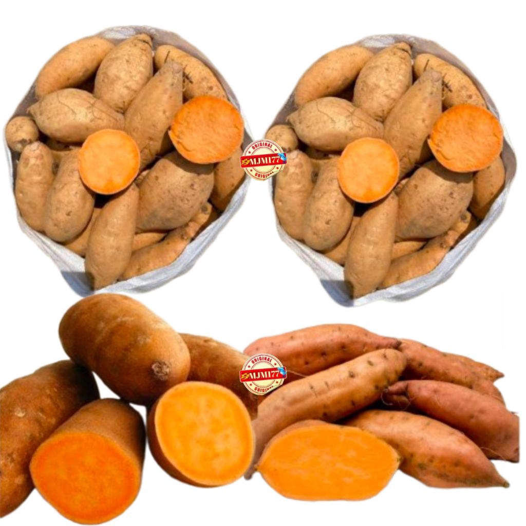 

UBI Orens 1KG+ UBI MALEM/UBI JALAR/UBI RAMBAT/SAMBRANG KEDU/UBI MANIS