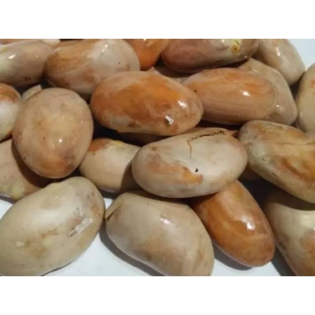 

Biji Nangka Segar 1 Kg