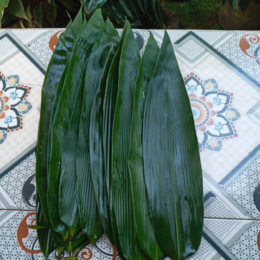 

Daun bambu segar bungkus bacang 4-5 jari per 100 lembar