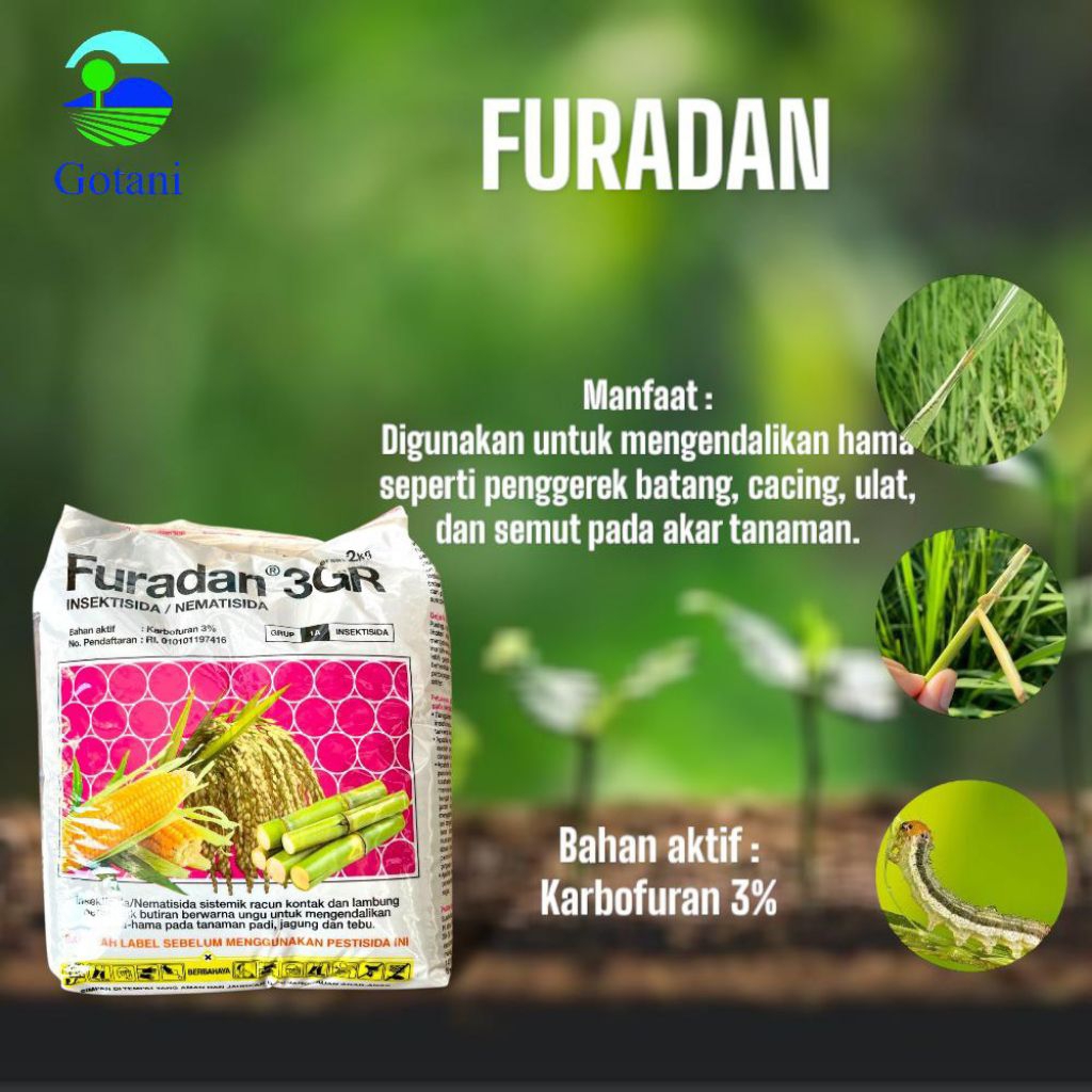FURADAN 3GR 2KG