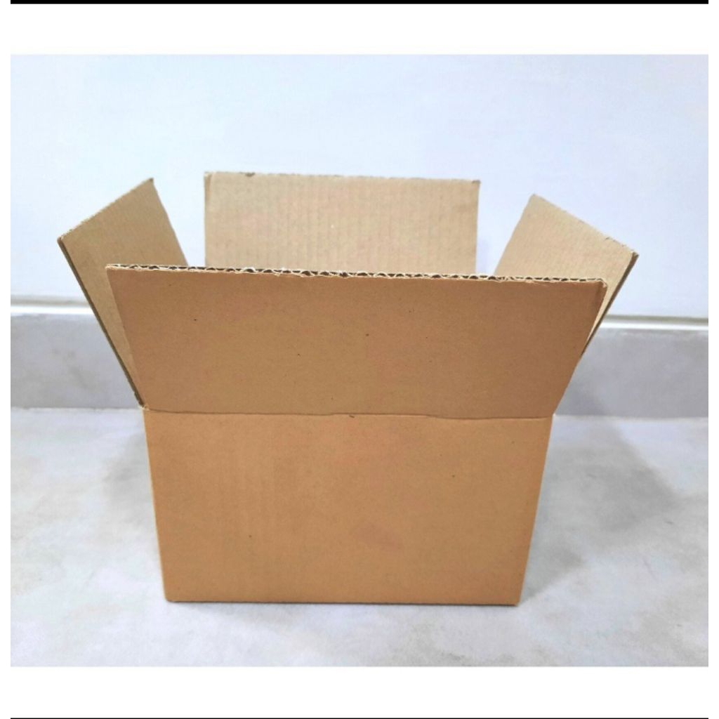 

Peking_tambahan_Kardus_Bublewrep_koran