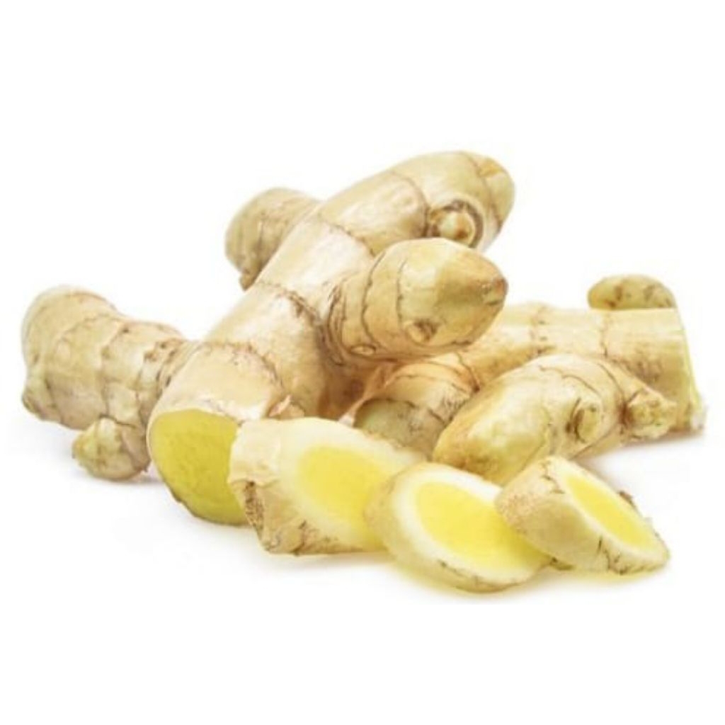 

kunyit putih segar tanaman herbal 500gram