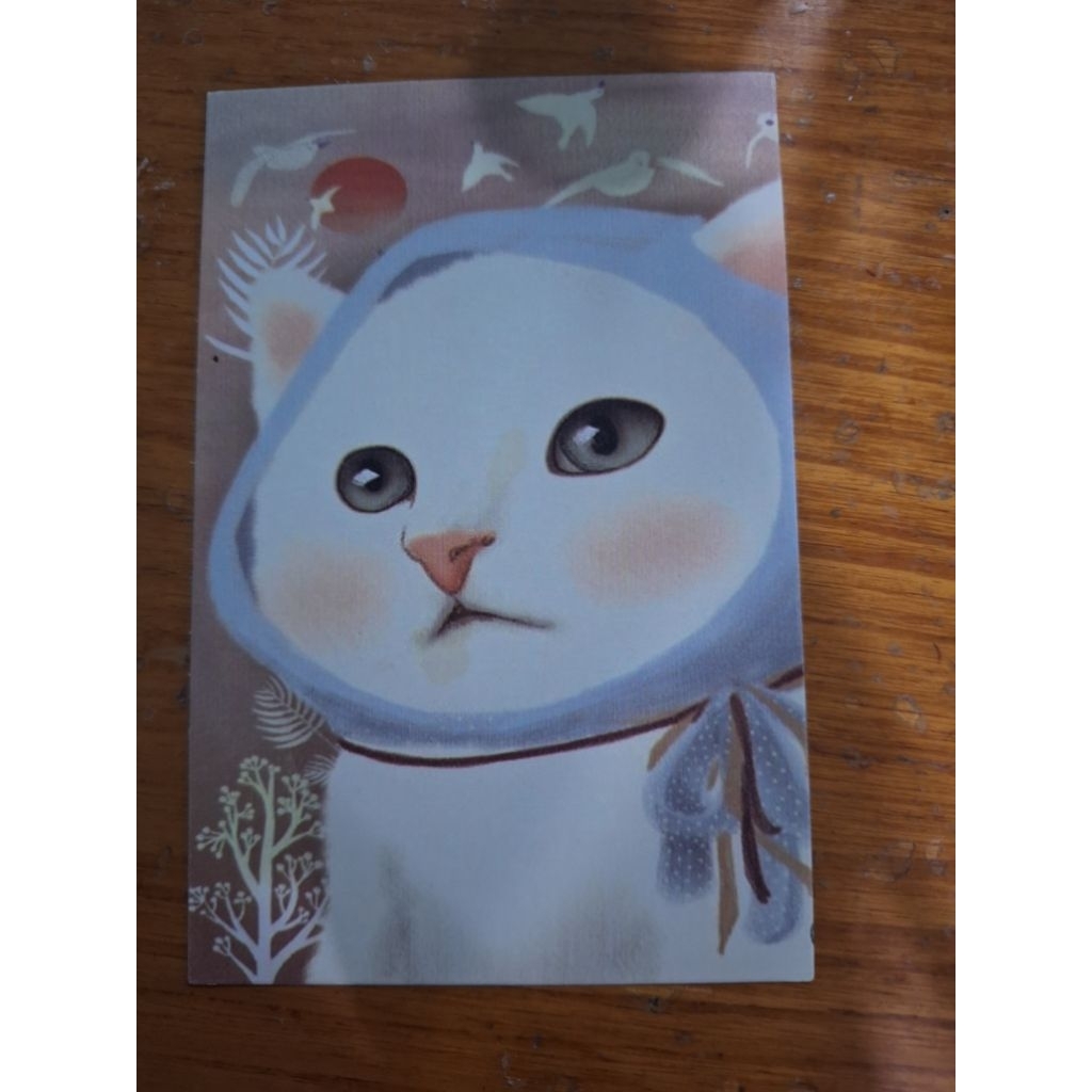 

kartu pos Kucing Jetoy postcard