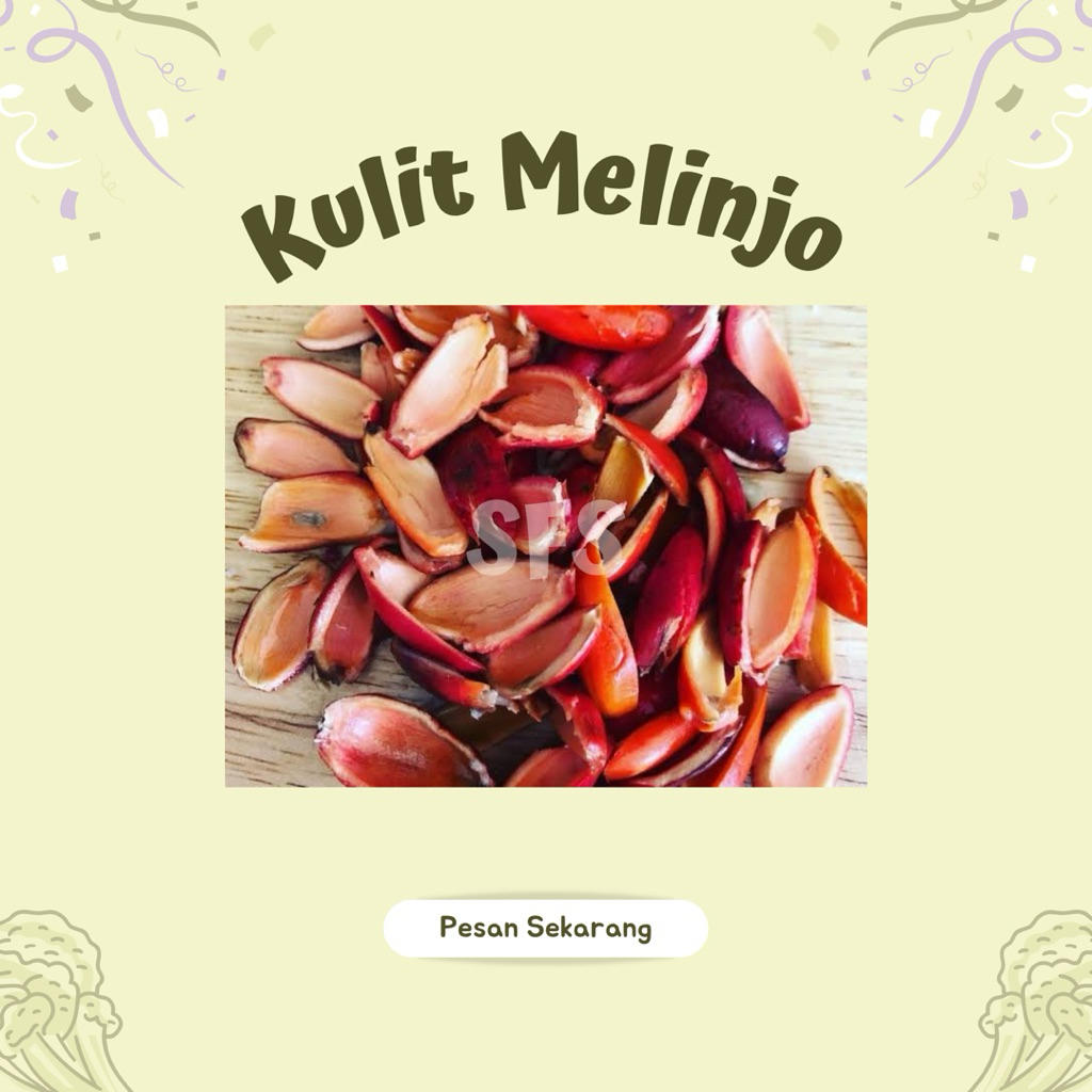 

Kulit Melinjo Mlinjo - Sayur Fresh Solo