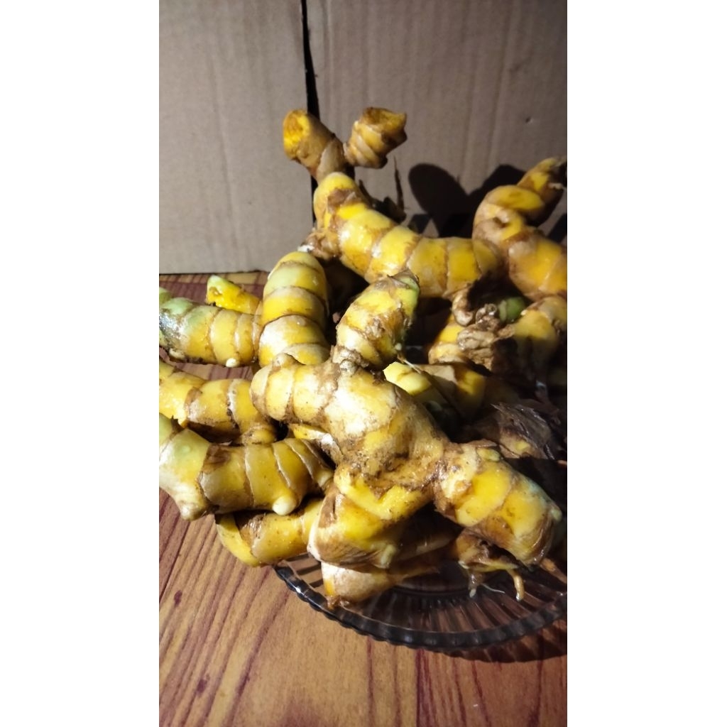 

Temu glenyeh/temu bayi segar herbal alami 1kg