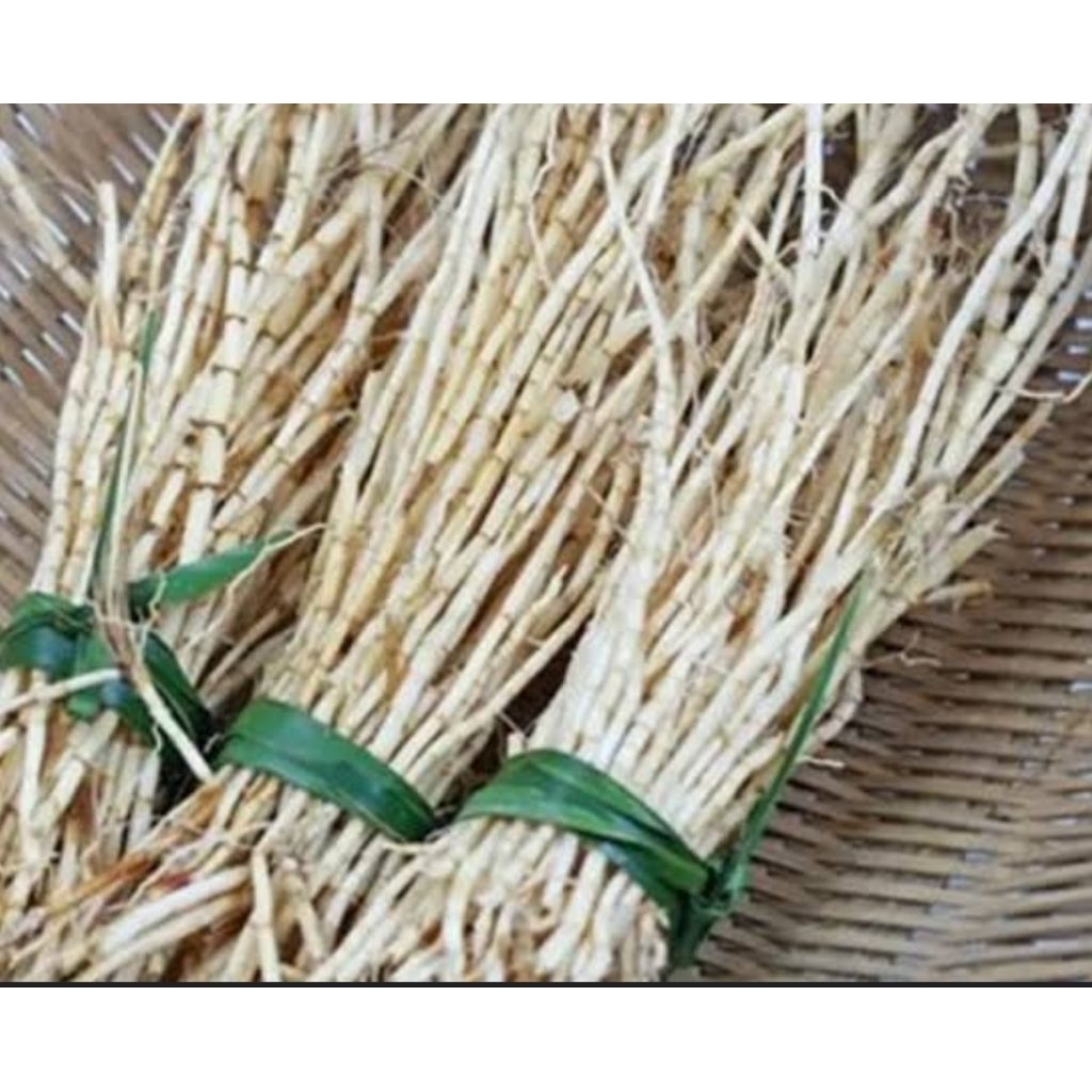 

Akar Alang Alang segar akar ilalang fresh 1 kg-az