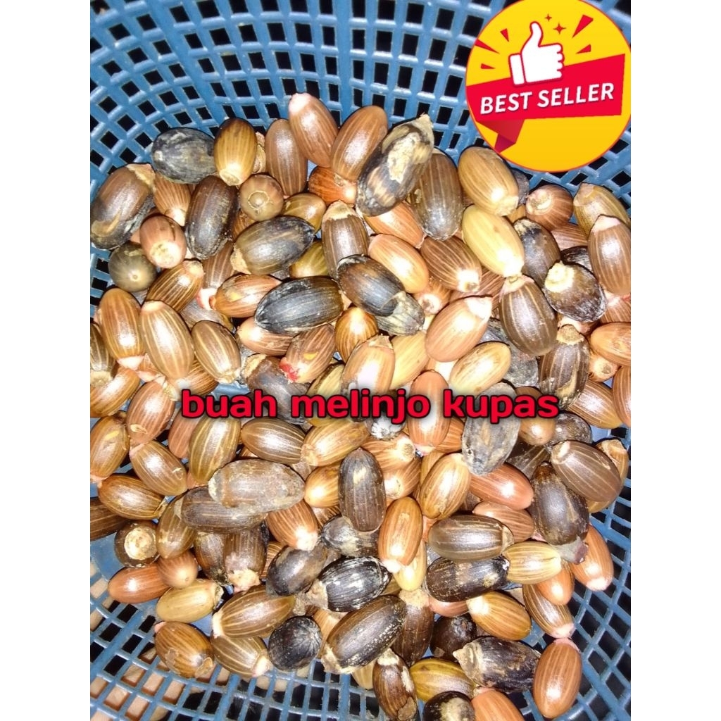 

buah melinjo kupas biji melinjo murah meriah 1kg