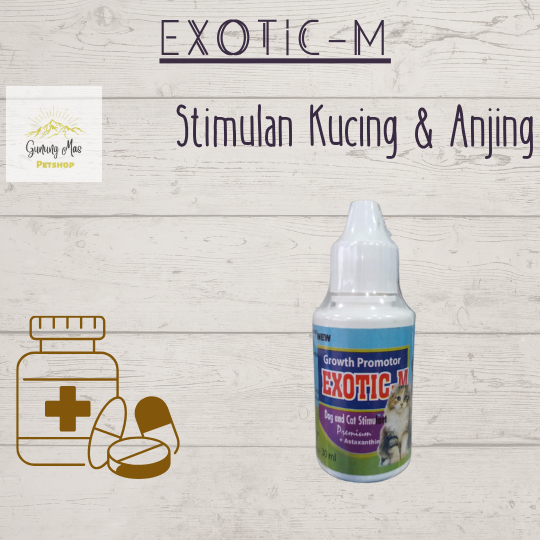 [OBAT KUCING] MULTIVITAMIN KUCING UNTUK DAYA TAHAN TUBUH