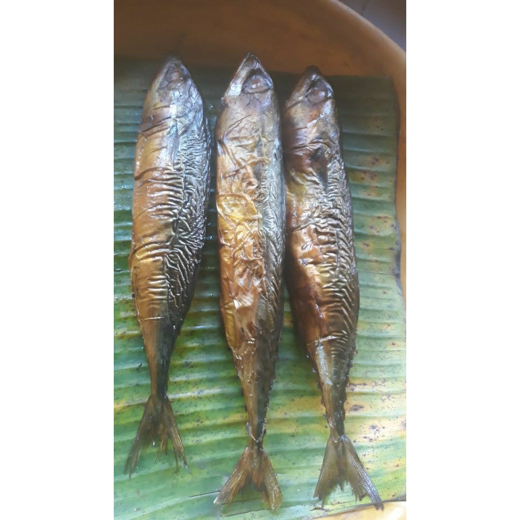 

ikan layang ukuran besar isi 5 ekor