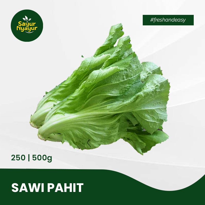 

Sayur Nyayur - Sawi Pahit Segar Pilihan Kualitas Terbaik