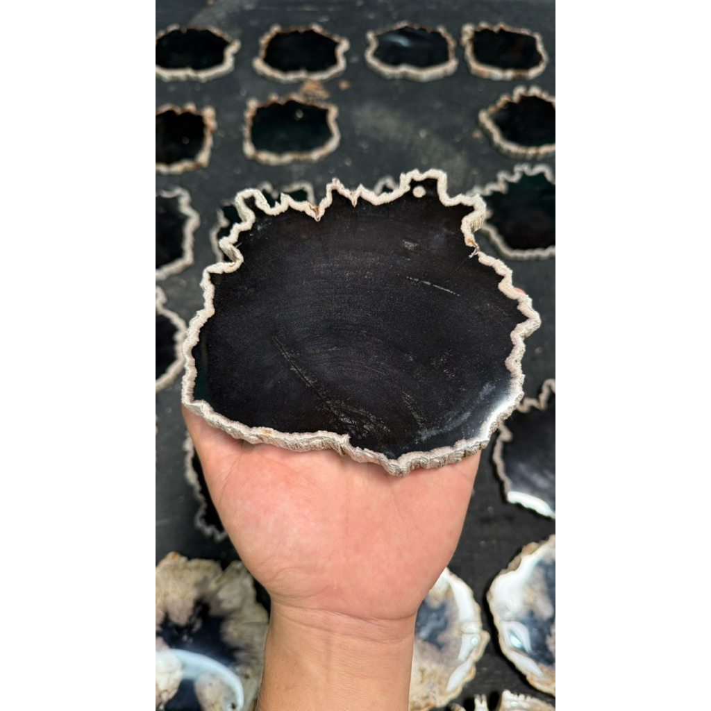 Polesan Slice Batu Galih Kelor / Fosil Kayu