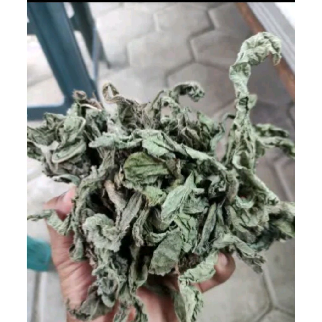 

daun tapak liman kering 150gram murah 100%asli