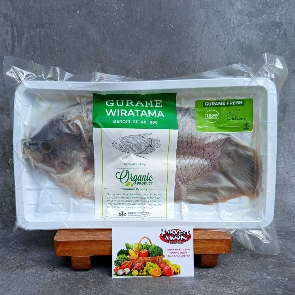 

HarvestMoon Ikan Gurame Organik