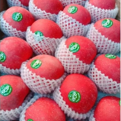 

APEL WANGSAN PREMIUM/500gr isi 2 PCS