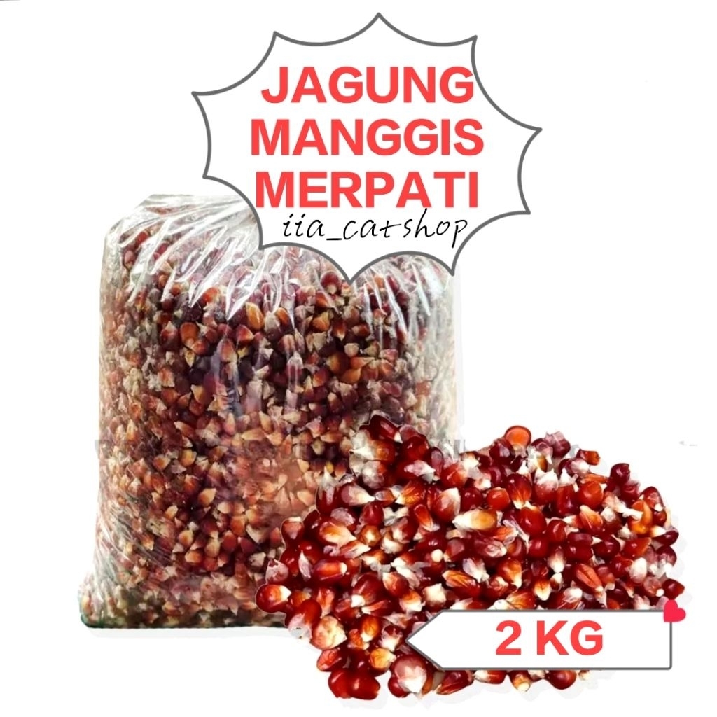 Jagung Manggis Merpati 2 KG JAGUNG KRISTAL UNGU PAKAN MERPATI DARA AYAM