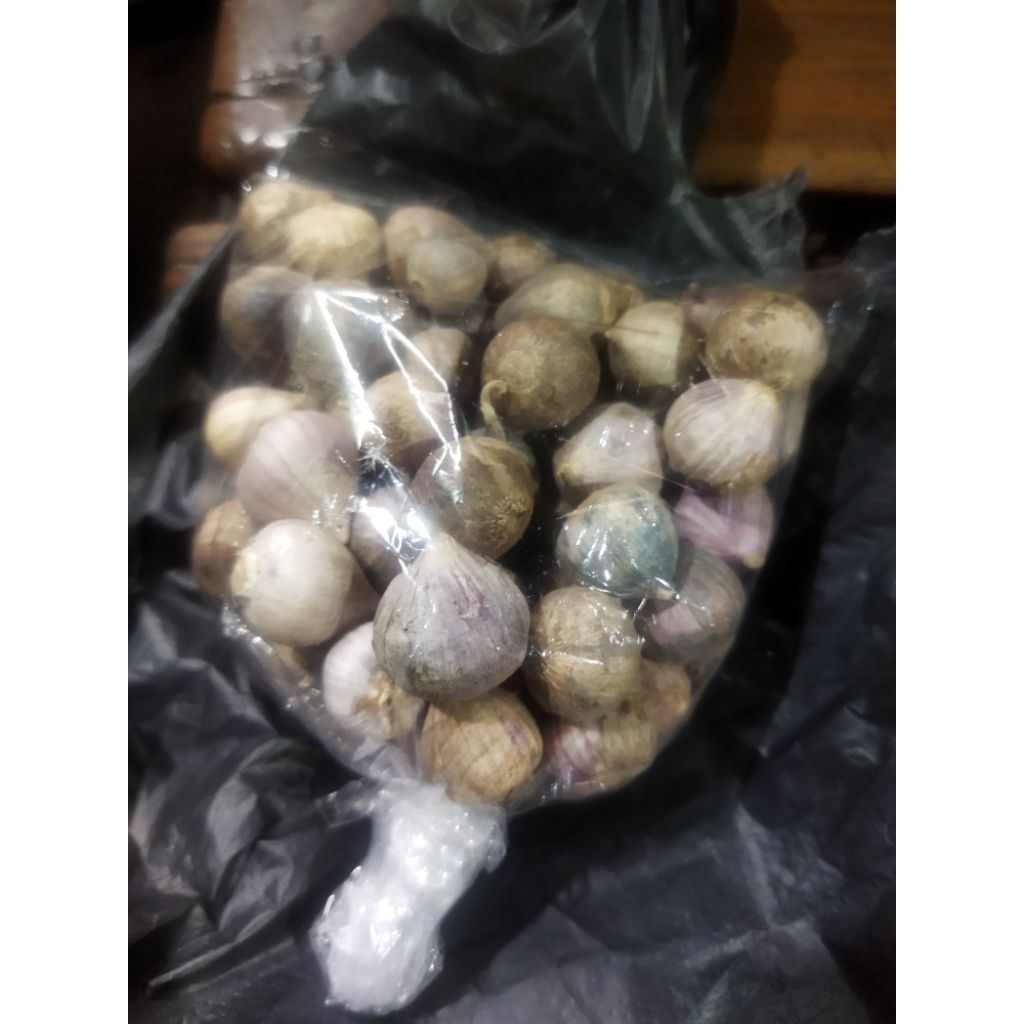 

Bawang Putih Laki Asli – Siung Tunggal Berkualitas & Alami Penambah Stamina