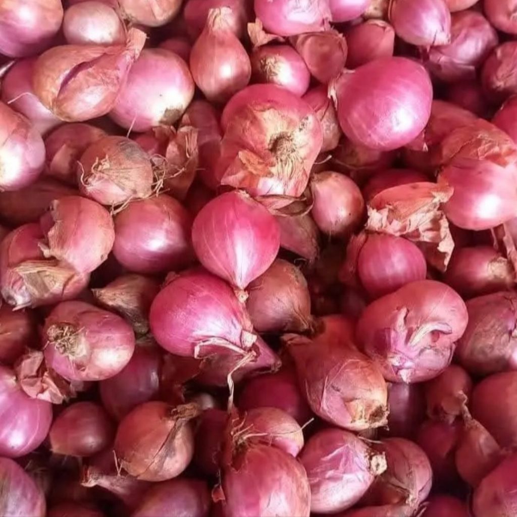 

Bawang Merah Brambang Kiloan Murah 250gr 250 gr gram - Aneka Bumbu Dapur