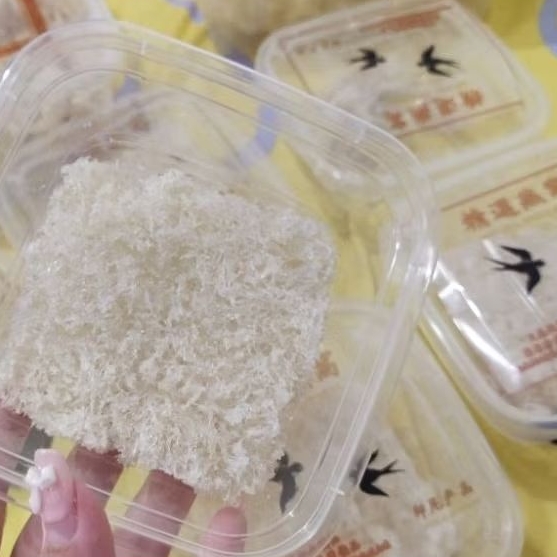 

50 gr / SARANG BURUNG WALET SIAP MASAK - HANCURAN CETAK