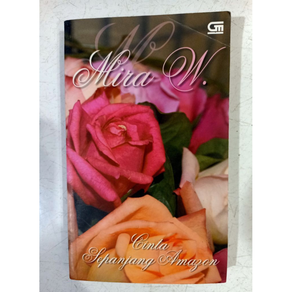 BUKU NOVEL MIRA W CINTA SEPANJANG AMAZON