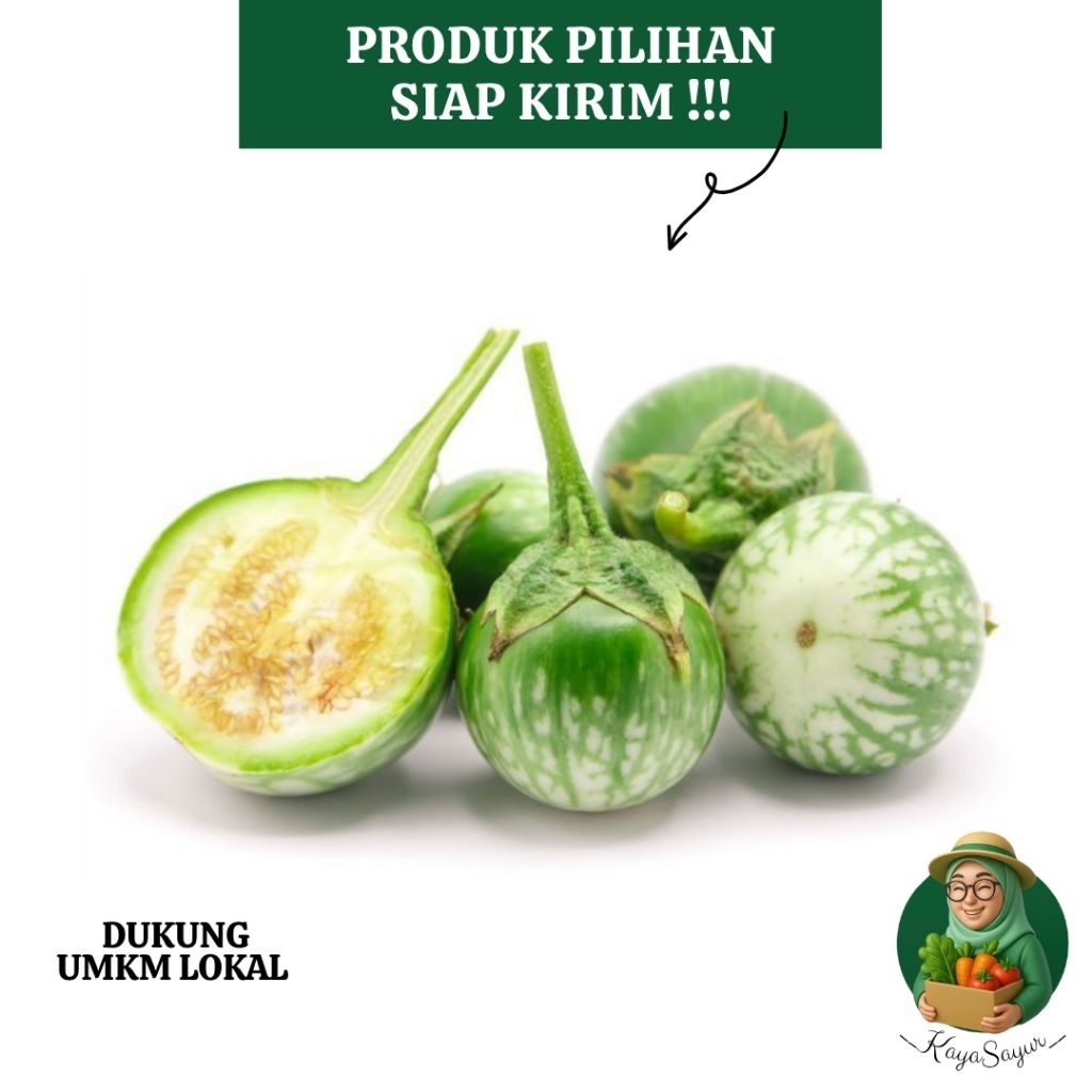 

Terong bulat Terong lalap Fresh /250gram
