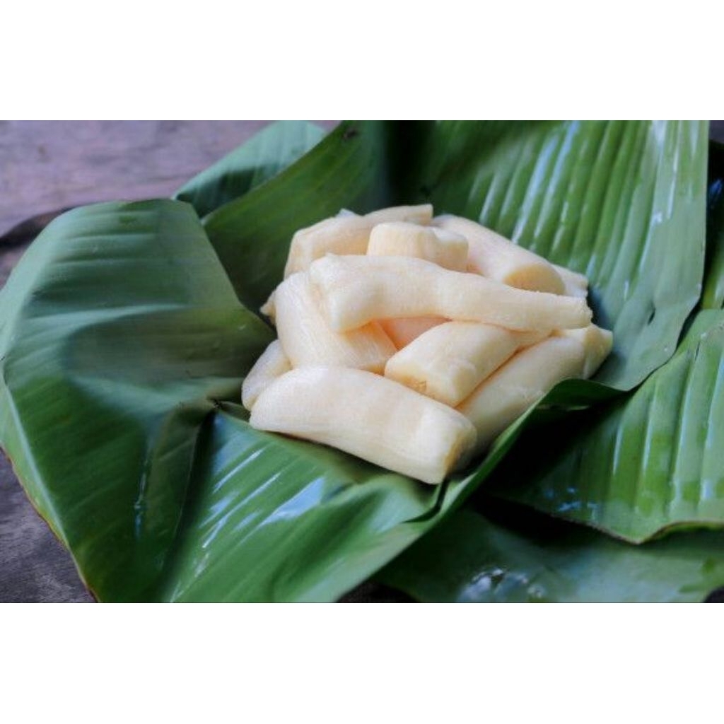 

TAPE SINGKONG MENTEGA MANIS LEGIT 1,5KG BIKIN KETAGIHAN
