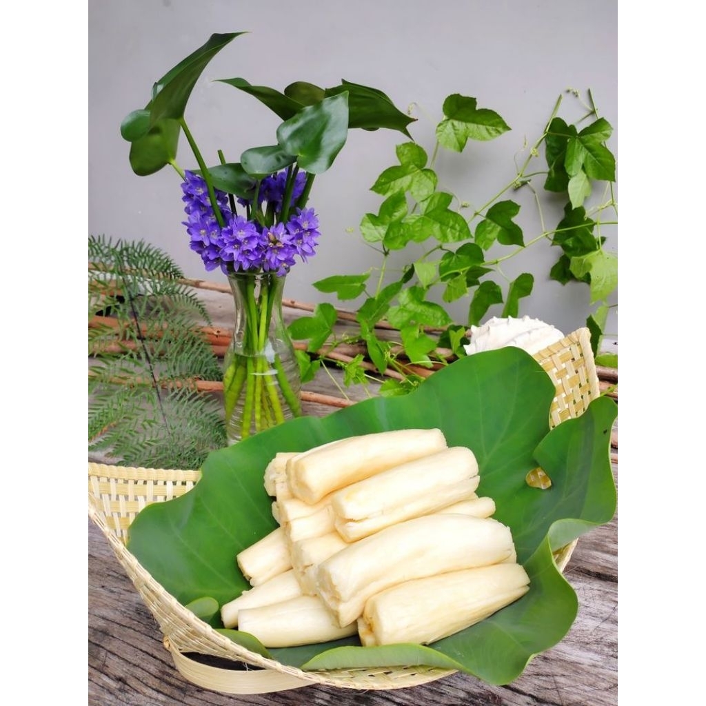 

TAPE SINGKONG MENTEGA MANIS 1KG BIKIN KETAGIHAN