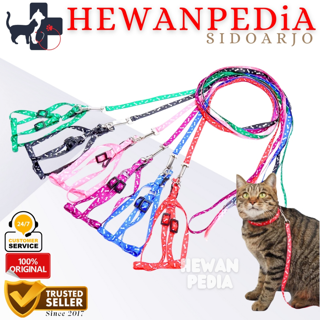 Tali Hewan Model Y Harnes Tali Tuntun Kucing Kelinci Musang Anjing Monyet Harness
