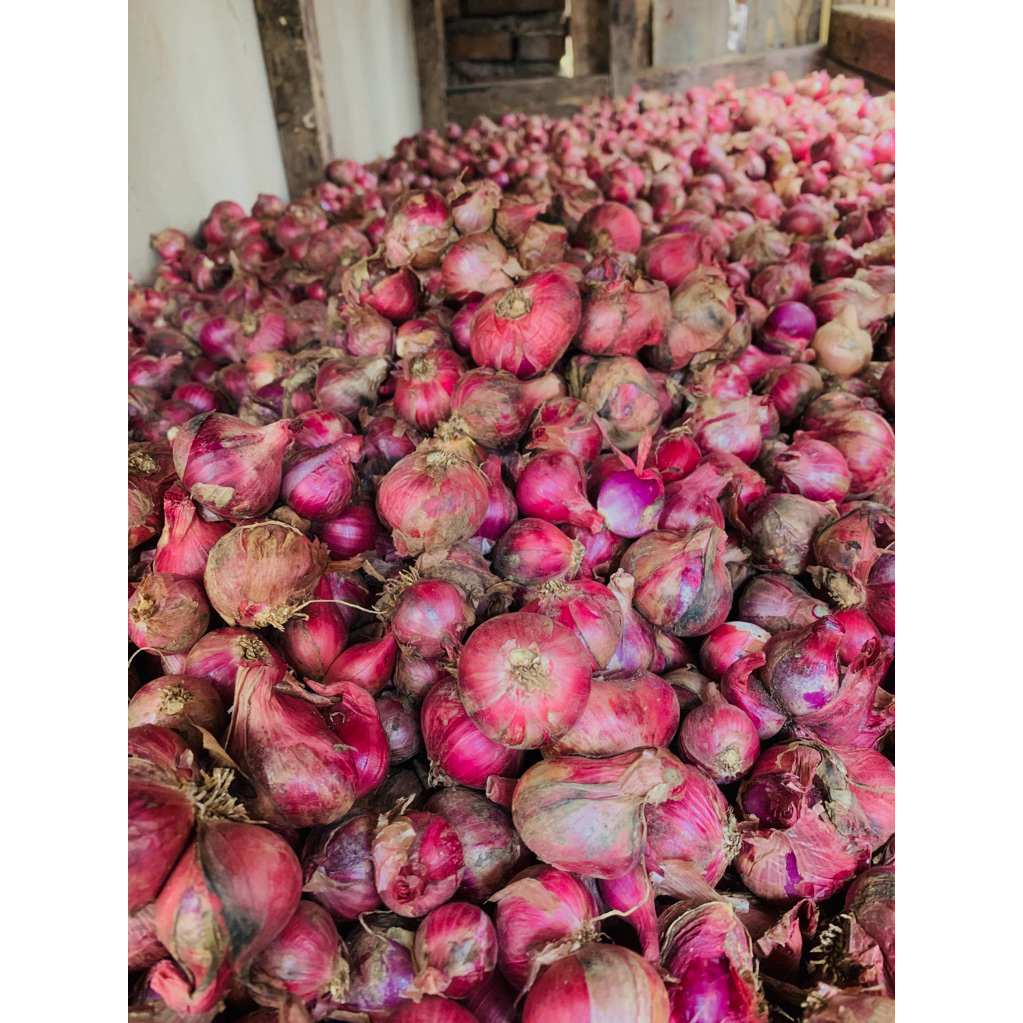 

Bawang merah kering 500gram