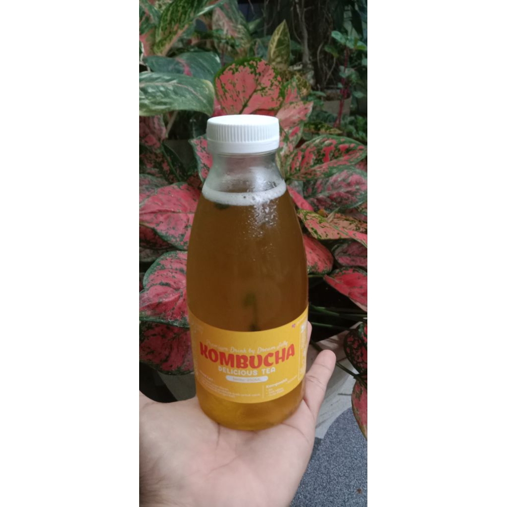 

KOMBUCHA TEA