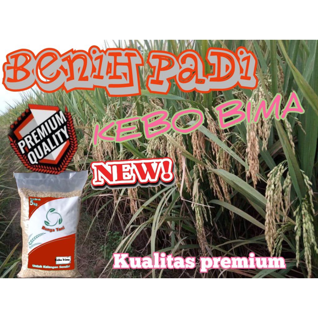 BENIH PADI PREMIUM UNGGUL KEBO BIMA 5KG