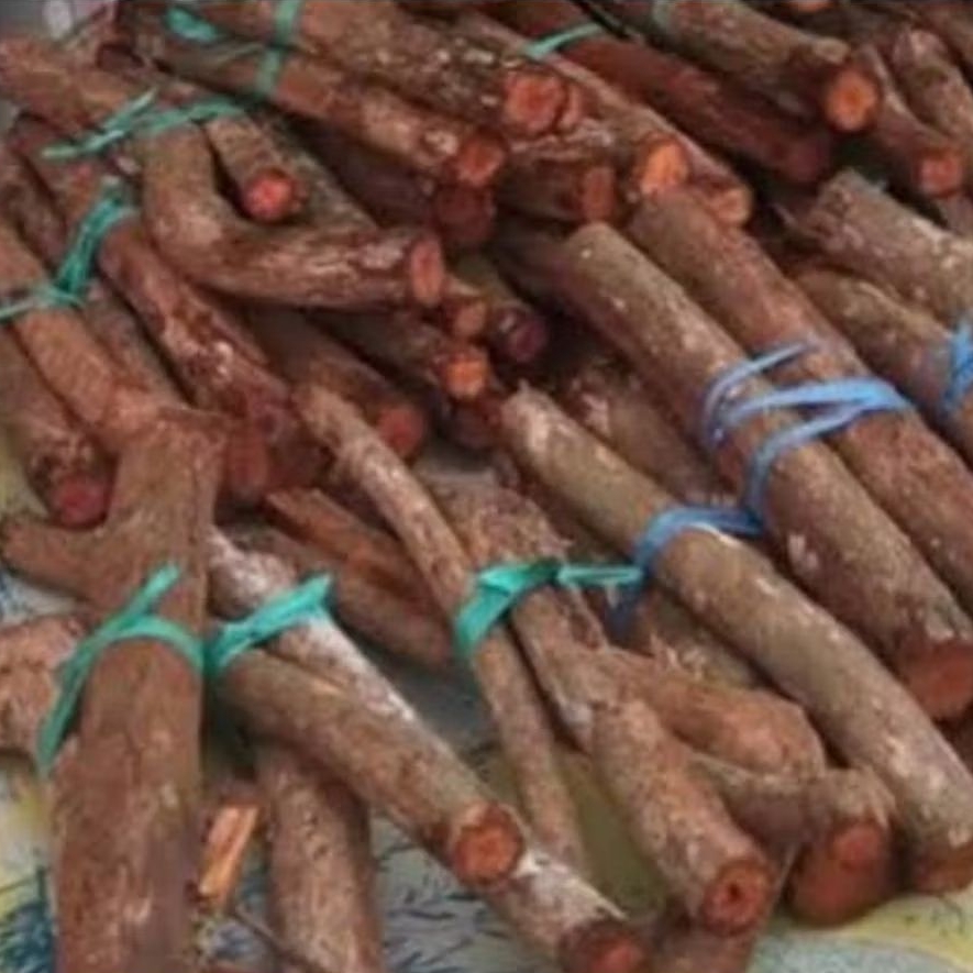 

Akar mahoni segar akar pohon mahoni fresh 1 kg