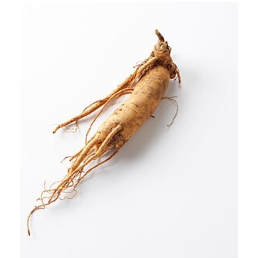 

Bubuk gingseng china 100 gram