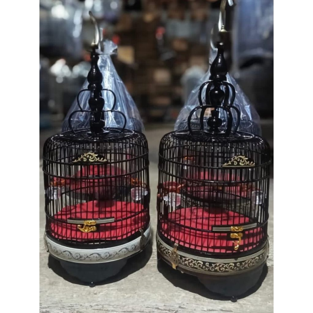 sangkar kandang cungkok mini cukit DM24 cocok untuk burcil