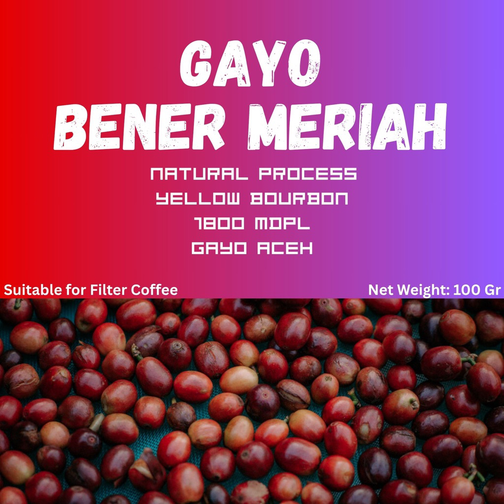 

GAYO BENER MERIAH NATURAL ACEH