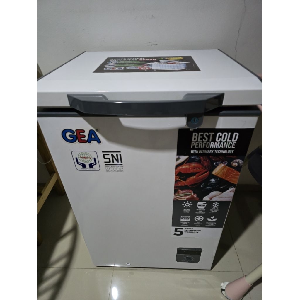 Freezer GEA 100 liter second