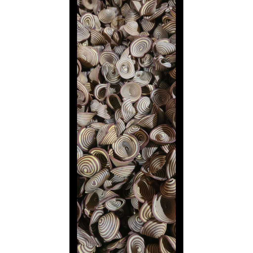 

kuping gajah | biskuit jadul |