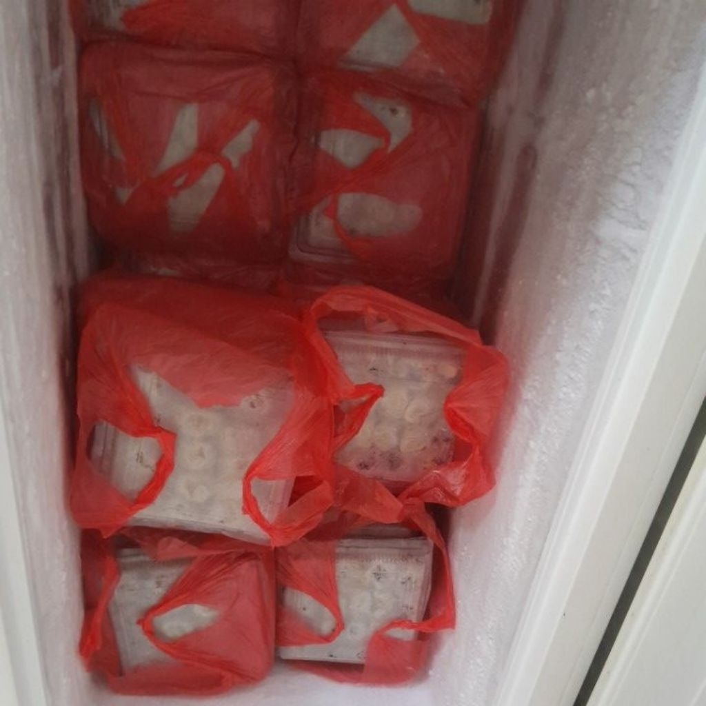 

DIMSUM FROZEN BULAT isi 100 pcs BESAR 38gr s/d 40gr TOPPING MIX BONUS 1/2 kg SAUS HOT 1 - DIMSUM AYAM PREMIUM & HALAL - DIMSUM UNTUKMU TANGERANG, DIMSUM ENAK, DIMSUM JUICY, DIMSUM JUMBO, PELUANG USAHA DIMSUM, AGEN - RESELLER DIMSUM