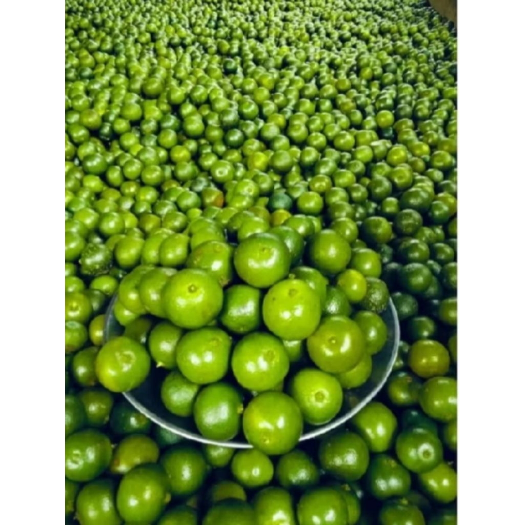 

JERUK LIMO/JERUK SAMBAL 1KG