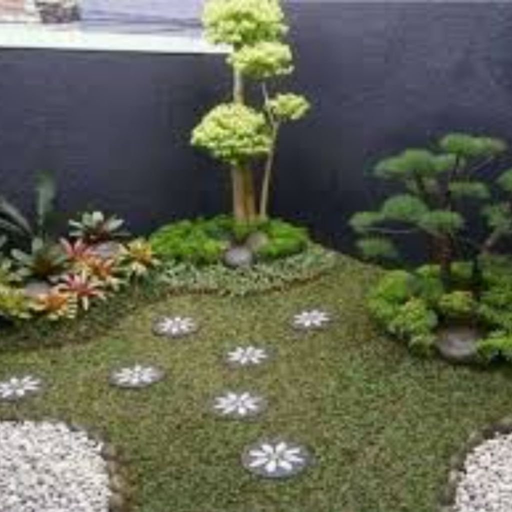 rumput gajah mini rumput jepang permeter sm pasang