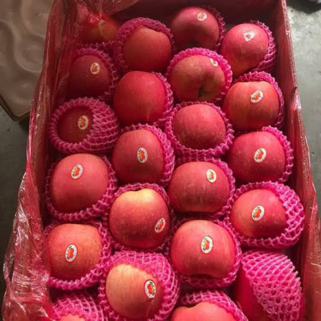 

apel fuji standar berat 1kg