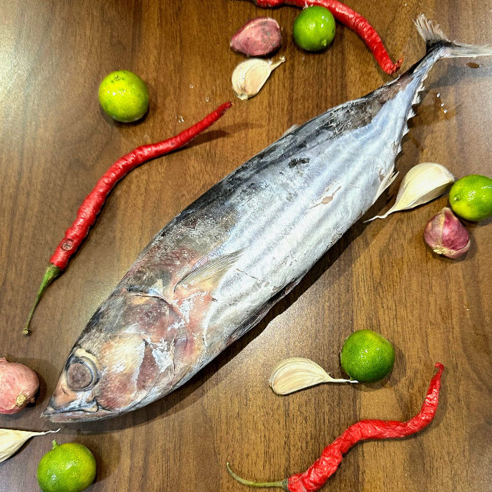 

Ikan Cakalang Fresh Beku Kapal Frozen 1 kg