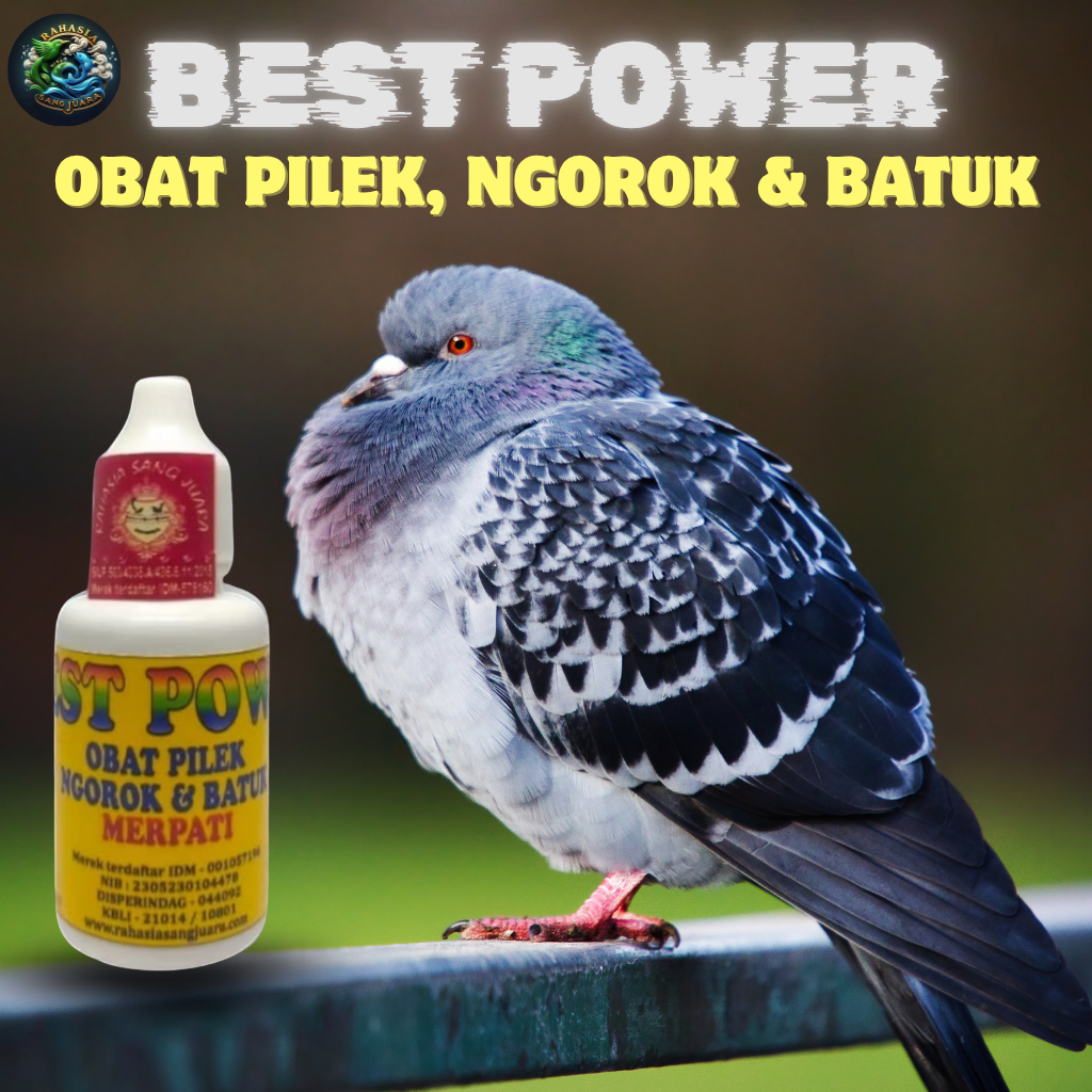 BEST POWER Obat Pilek Ngorok Dan Batuk Burung Merpati 30ml